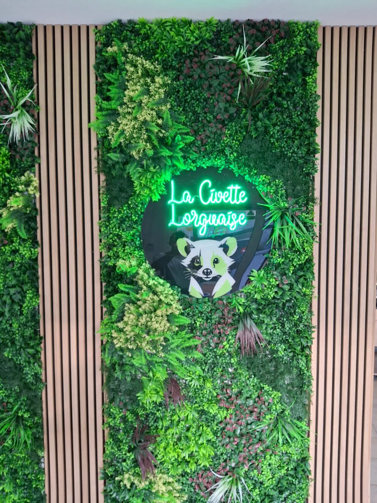 CBD Shop